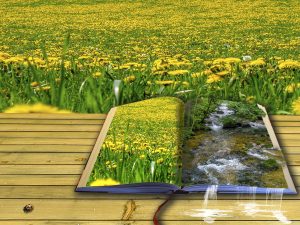 Jak rodzi się prawdziwa poezja